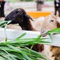 搜索 - 爱游戏